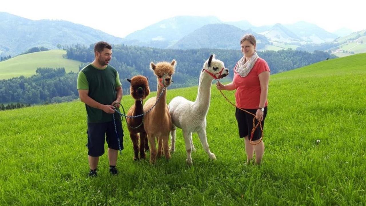 바이트호펜 안 데어 입스 Mitterhirschberg, Familie Schweighuber 아파트 외부 사진